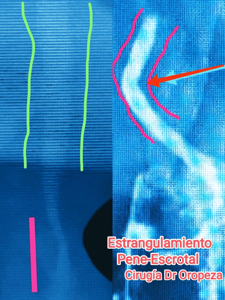 mariano oropeza medica sur