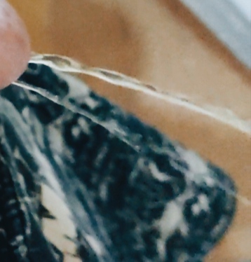 jose andres olivo garate