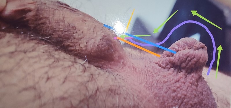 mariano oropeza aguilar