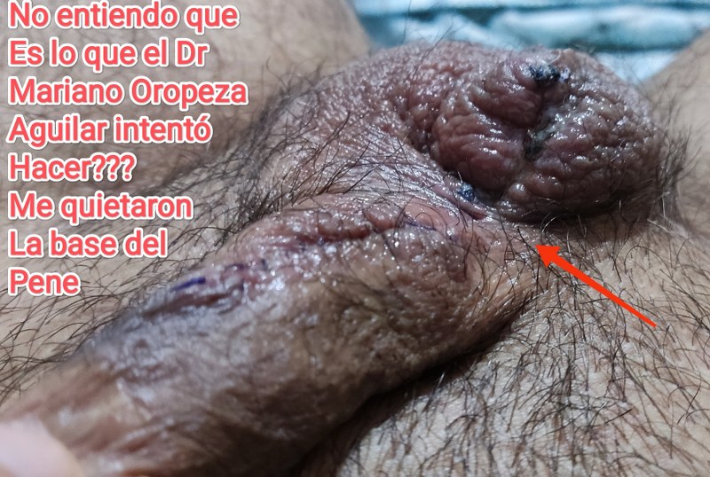 jose andres olivo garate