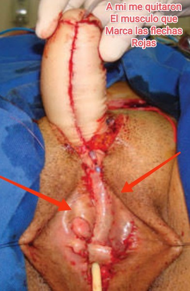 jose andres olivo garate