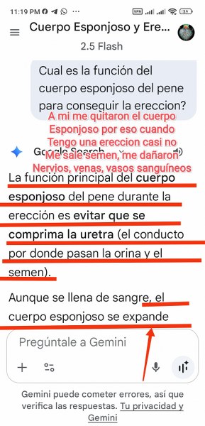 jose andres olivo garate